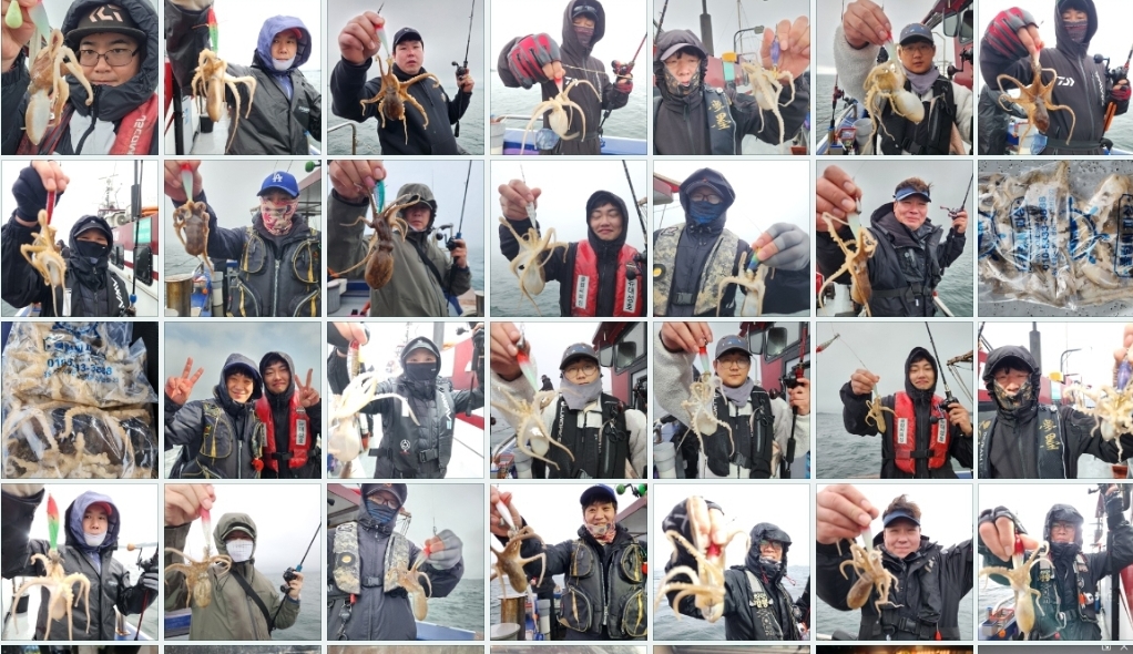 4월16일 뉴대성호 주꾸미조황