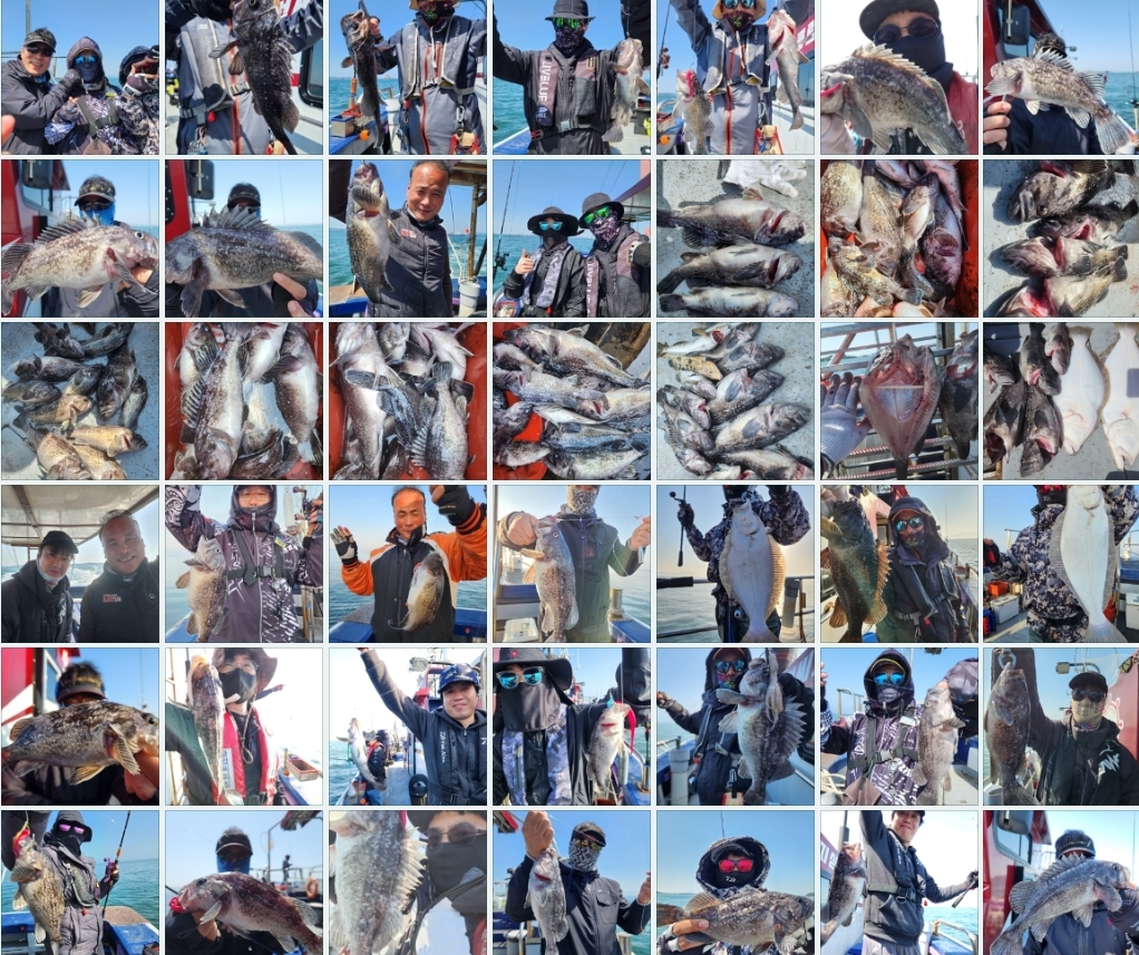 4월13일 뉴대성호 내만우럭조황