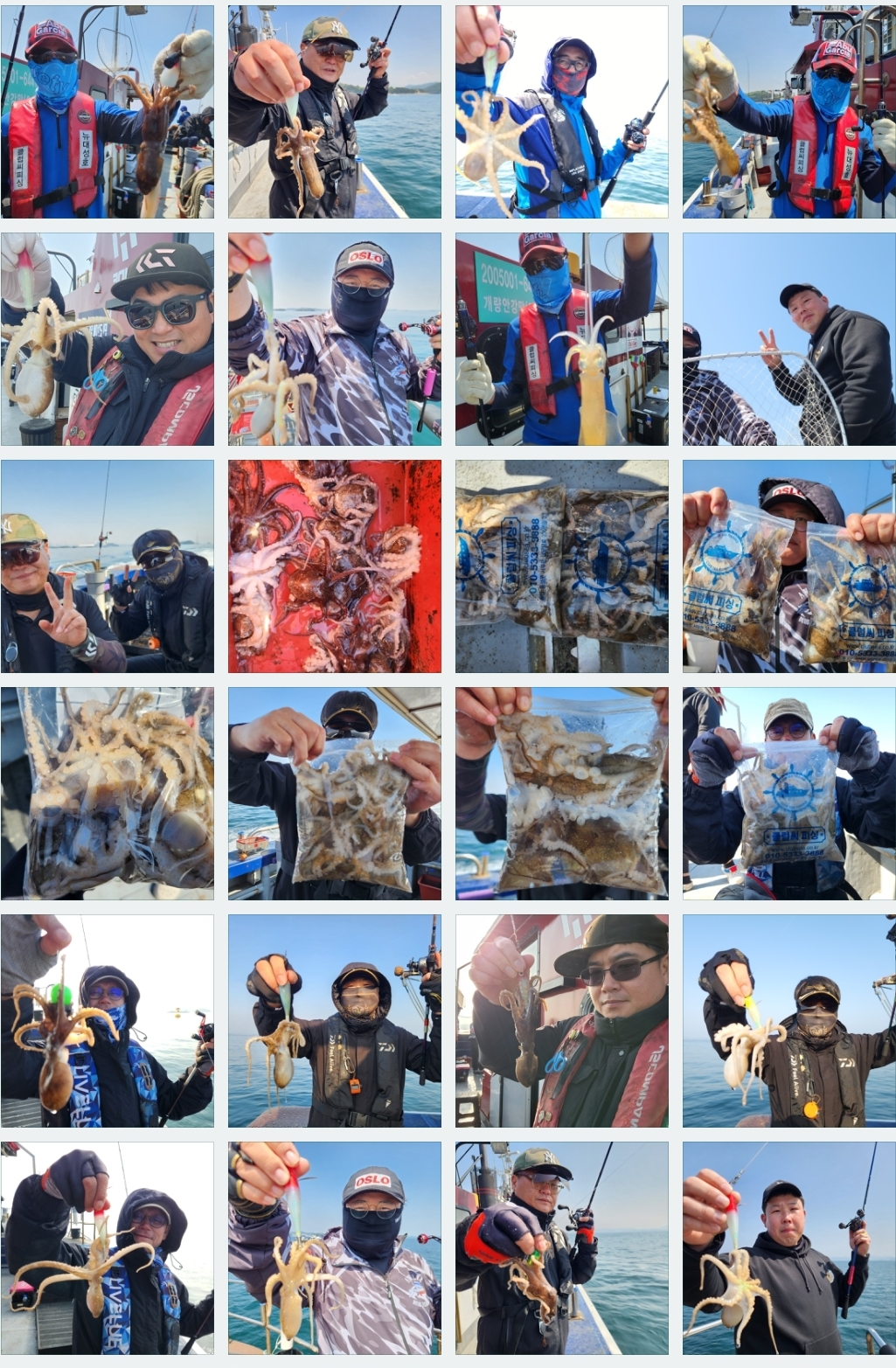 5월2일 뉴대성호 주꾸미조황