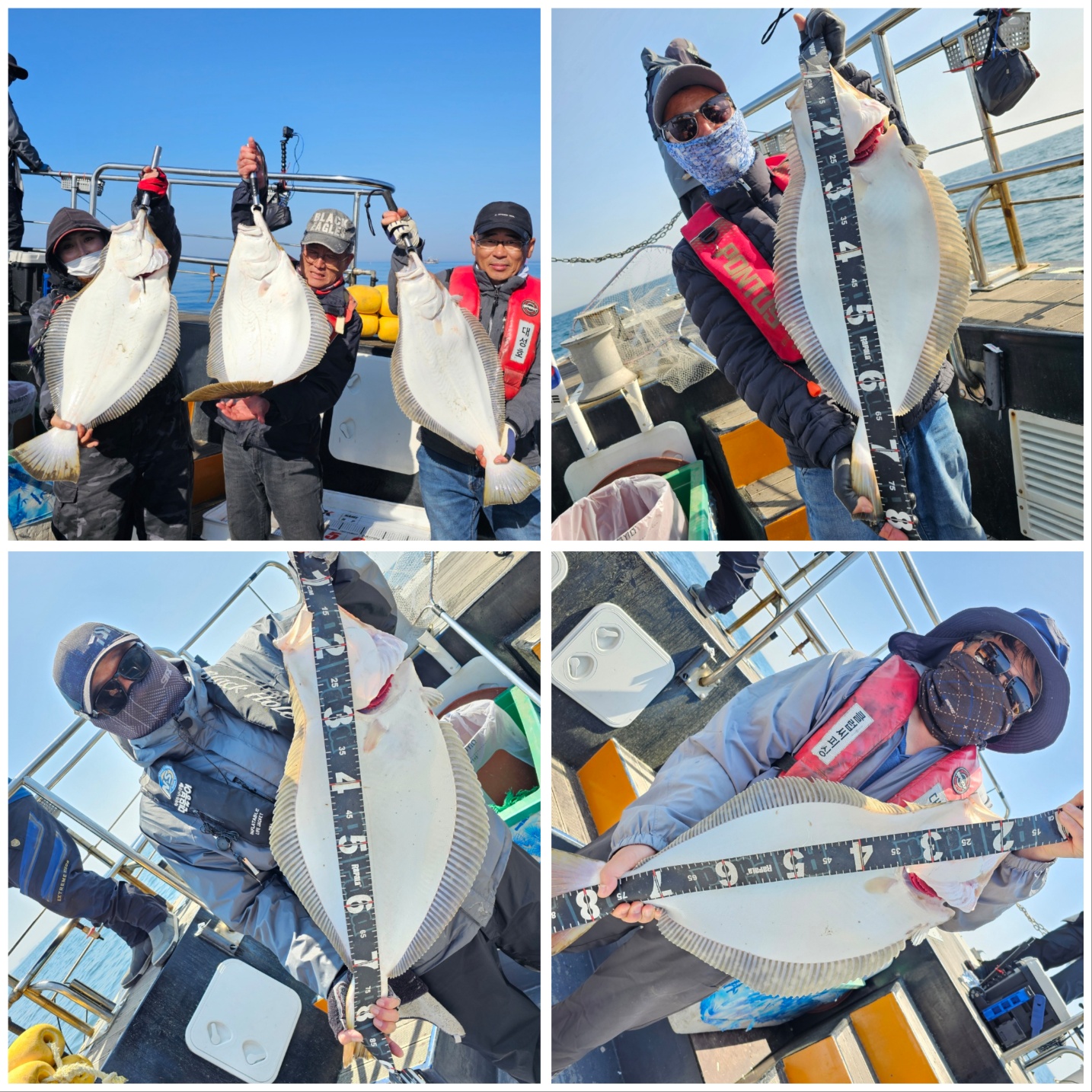 5월 3일 대성호 9인 대광어조황입니다~~