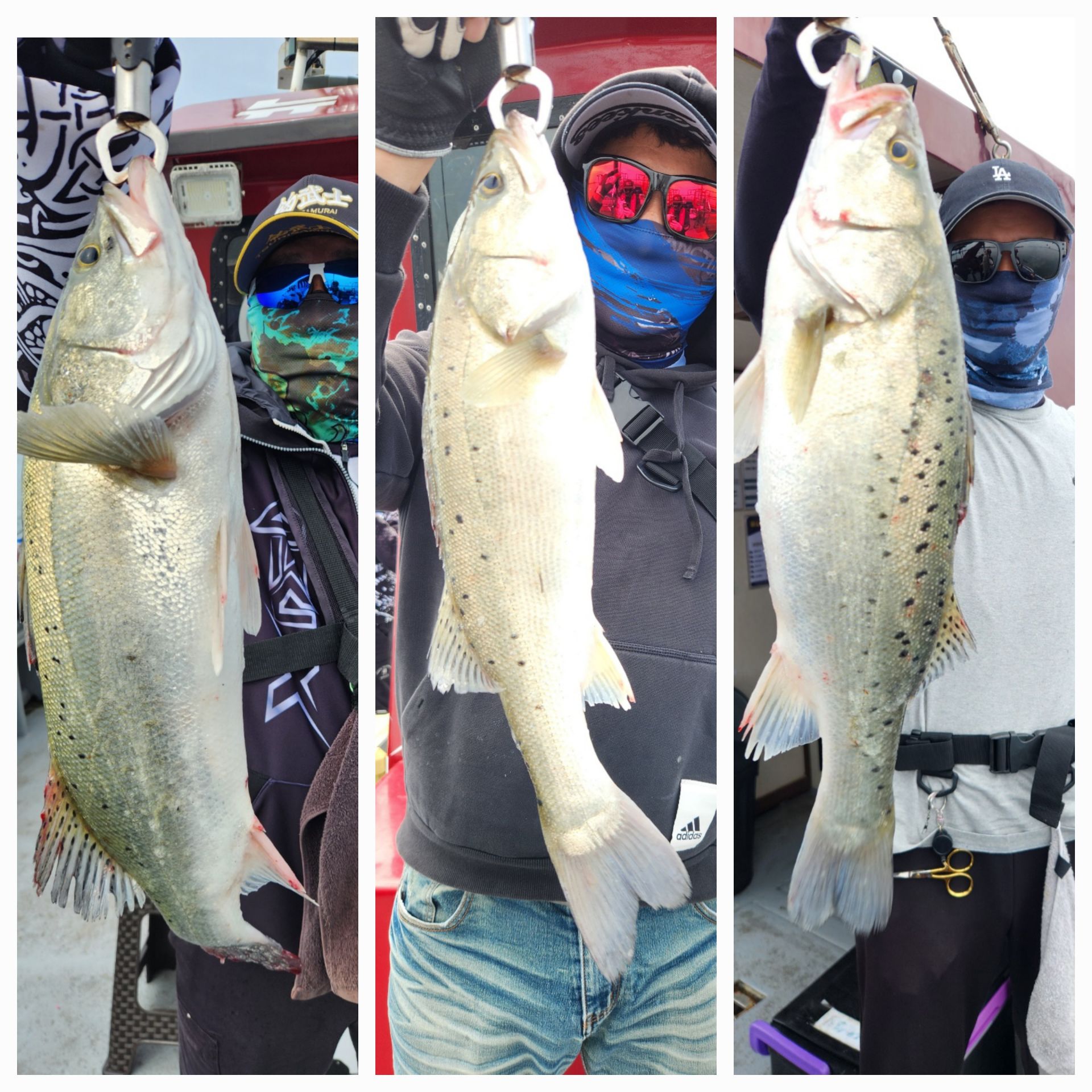 5월30일 뉴대성호 농어외수질조황