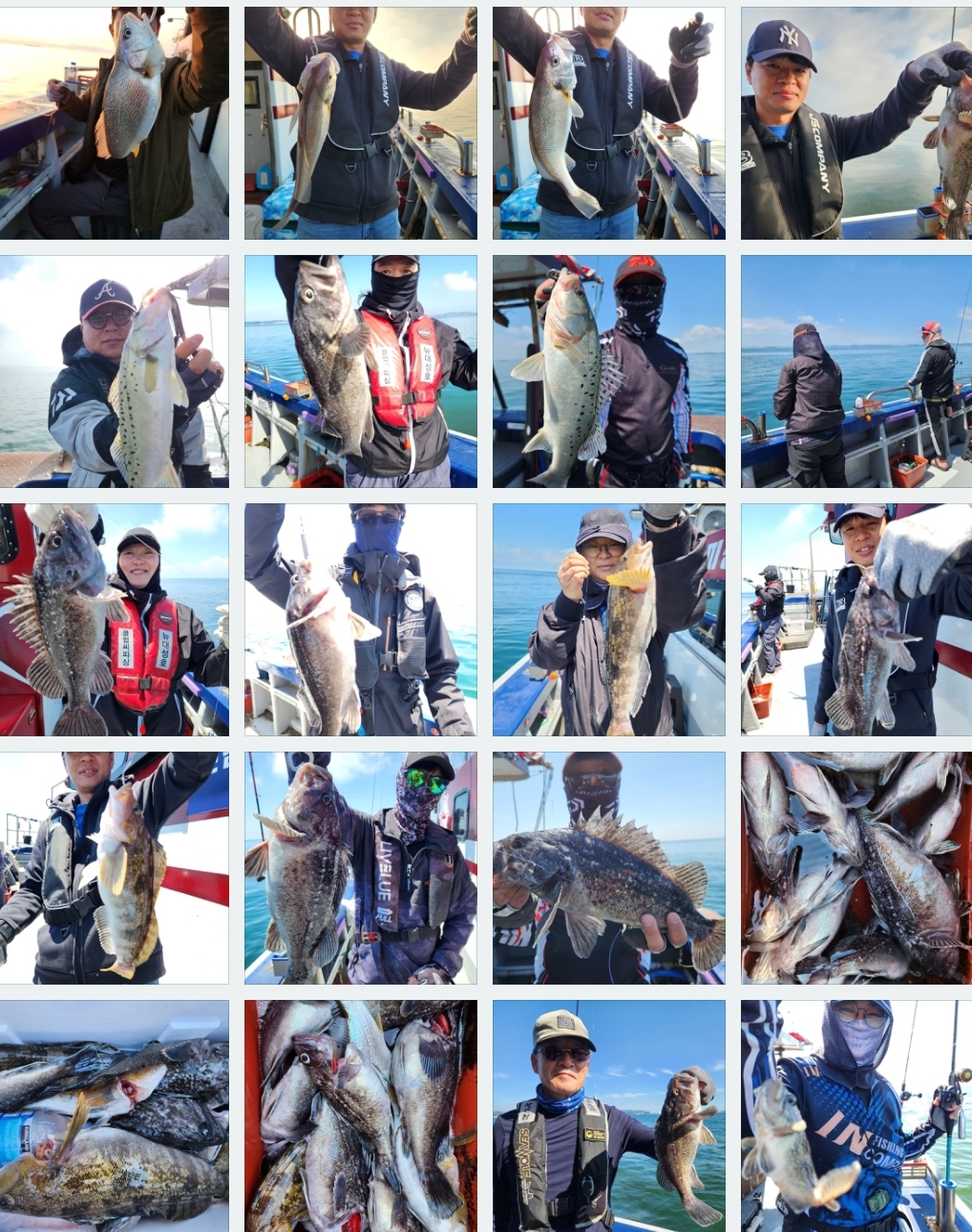 5월31일 뉴대성호 농어외수질조황