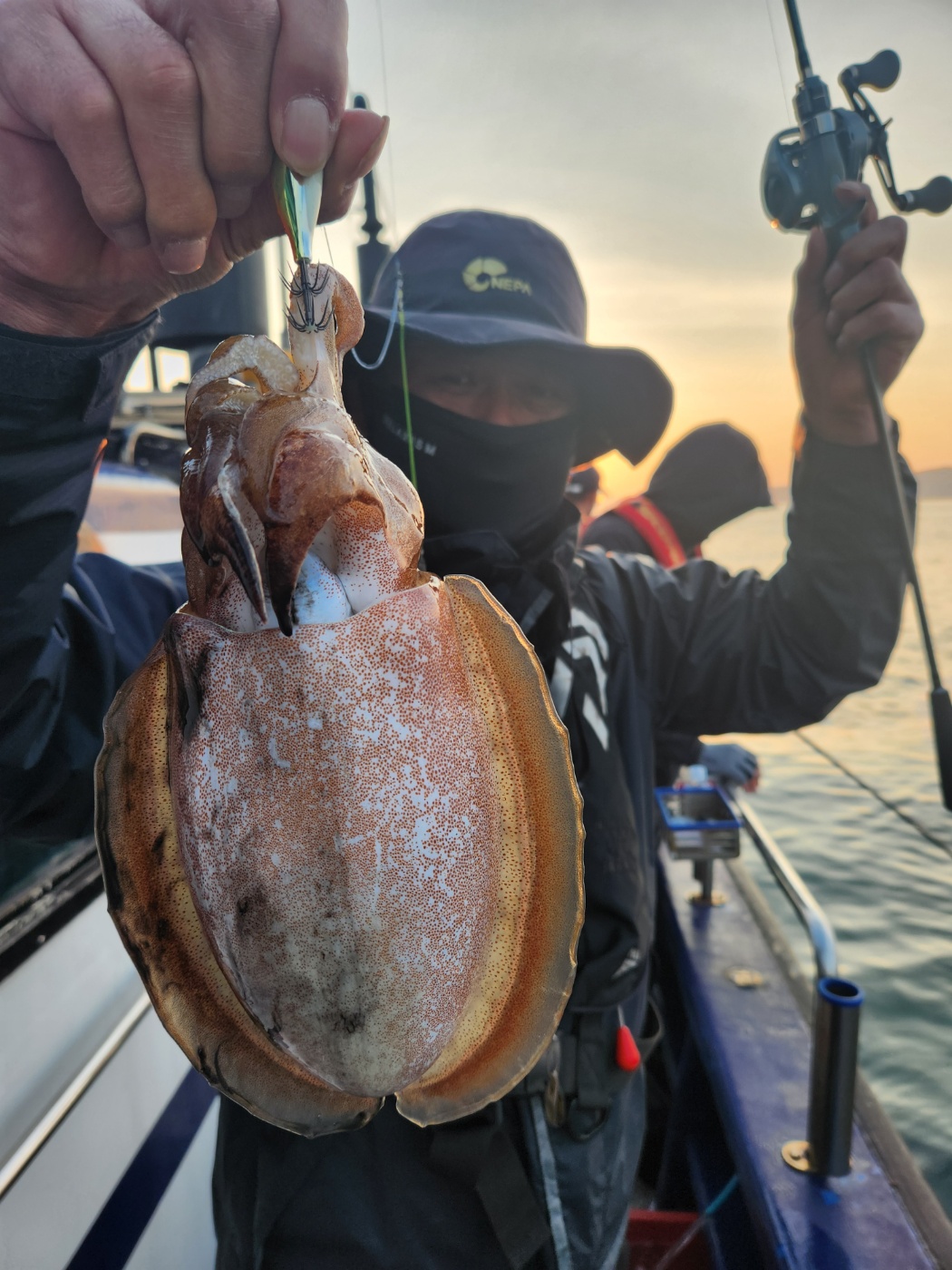 6월2일 블루원 갑오징어 조황