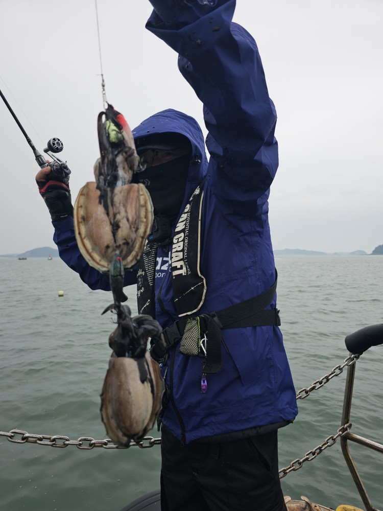 10월6일 대성1호주꾸미조황