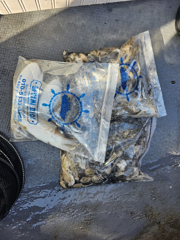 10월5일 대성1호 주꾸미조황