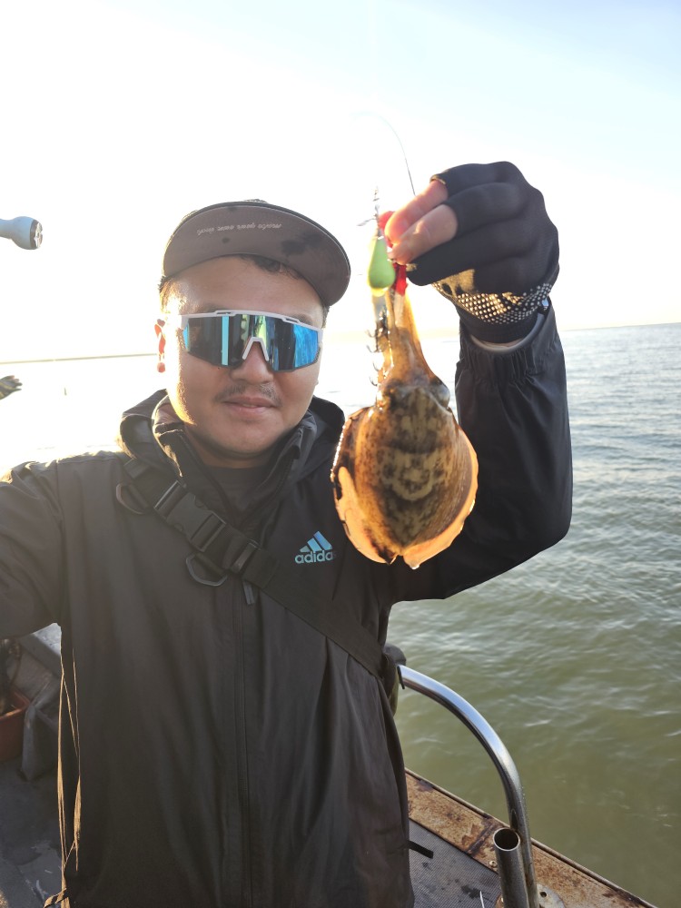 10월4일 대성1호주꾸미조황