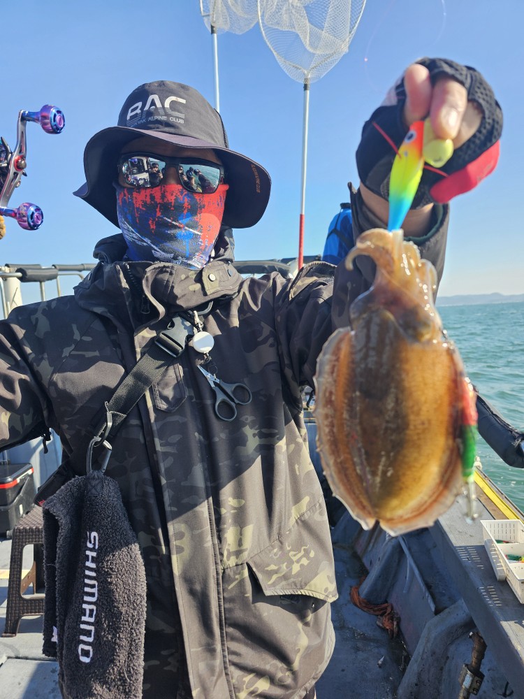 10월24일 대성1호주꾸미조황