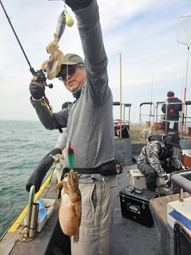 11월9일 대성1호 주꾸미조황