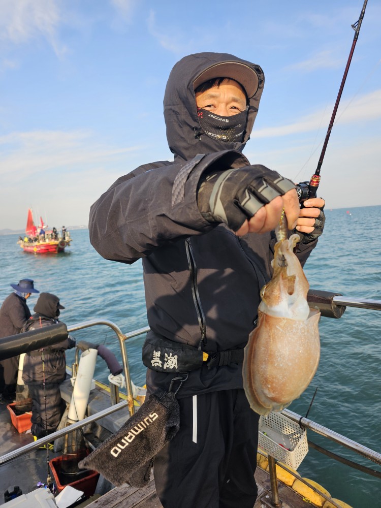 11월23일 대성1호 주꾸미조황