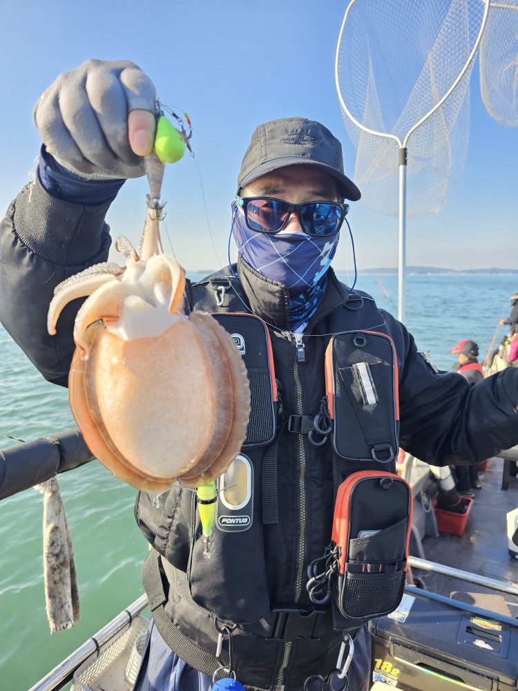 11월24일 대성1호 주꾸미조황