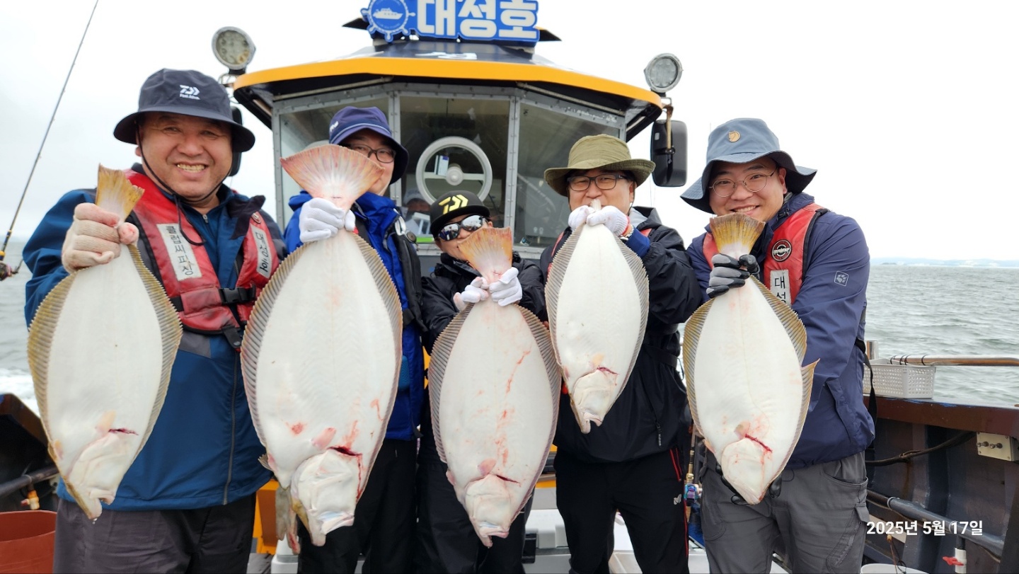 5월 17일 단체 11분 오전 대광어 조황입니다