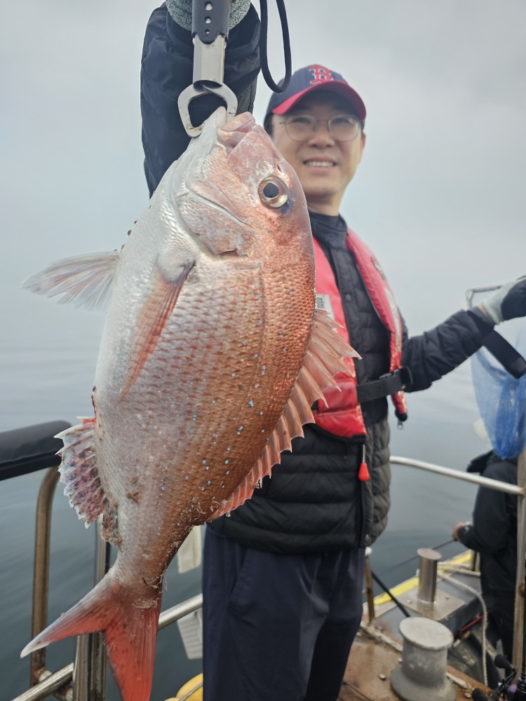 6월2일 대성1호 참돔조황
