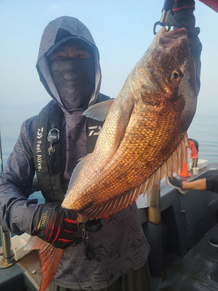 7월26일 대성1호 참돔조황