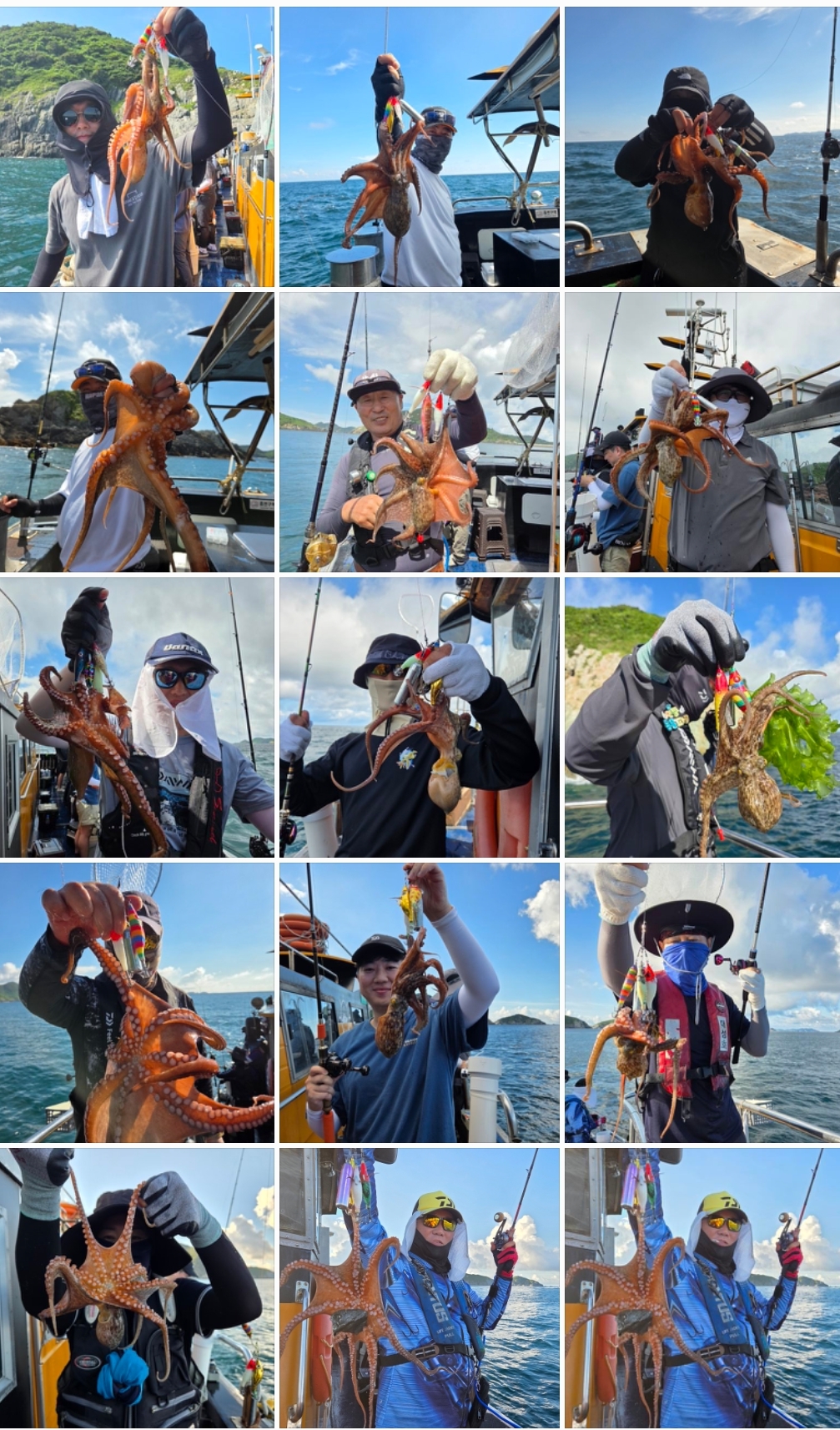 8월 30일 대성호 문어조황입니다 총75수