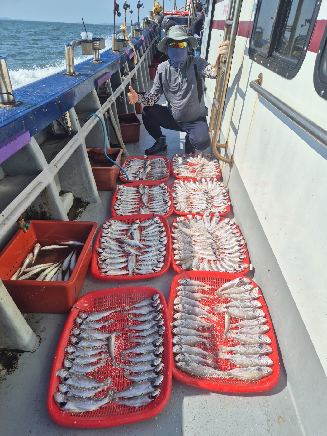 8월23일 뉴대성호 백조기조황