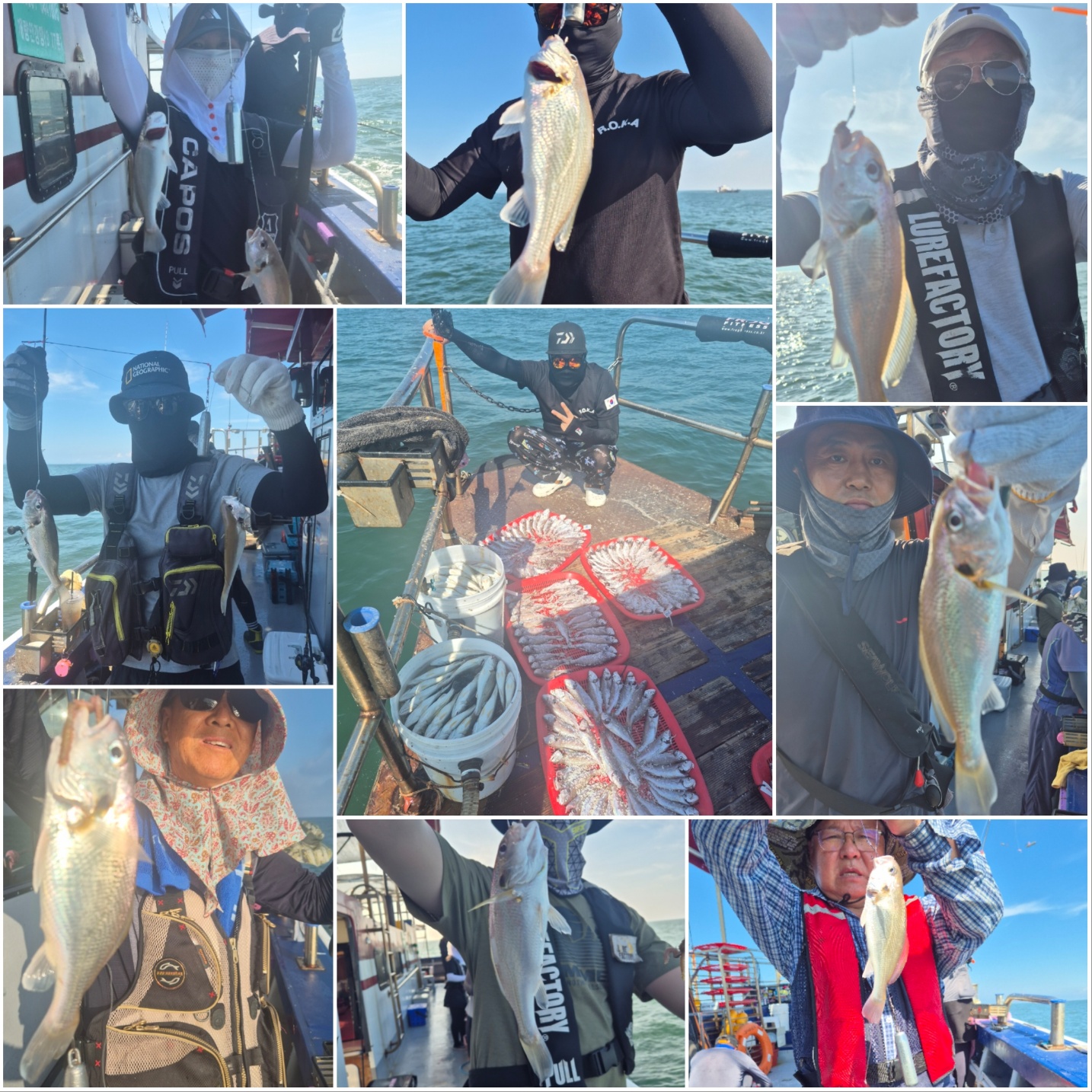 8월24일 뉴대성호 백조기조황