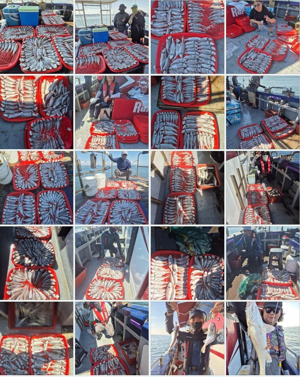 8월백조기 하이라이트