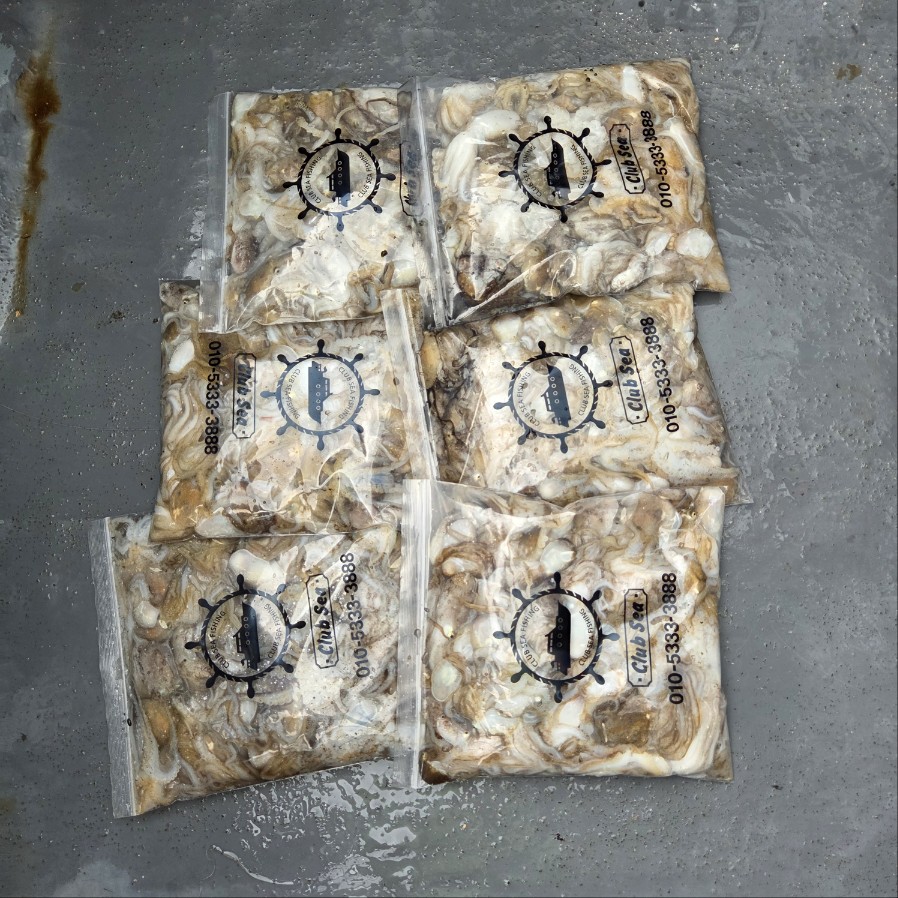 9월1일 마린호 쭈조황입니다