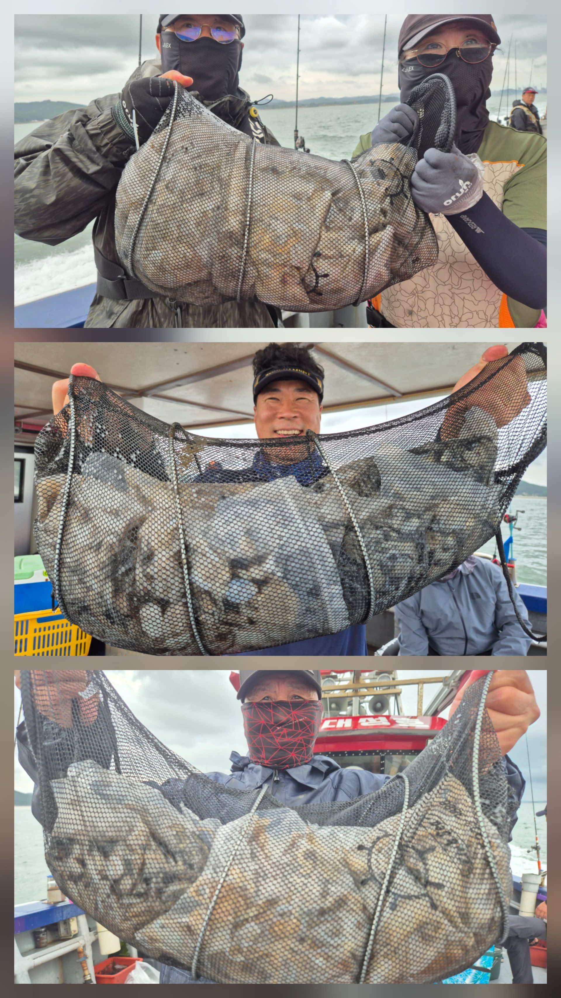 9월1일 뉴대성호 주꾸미조황