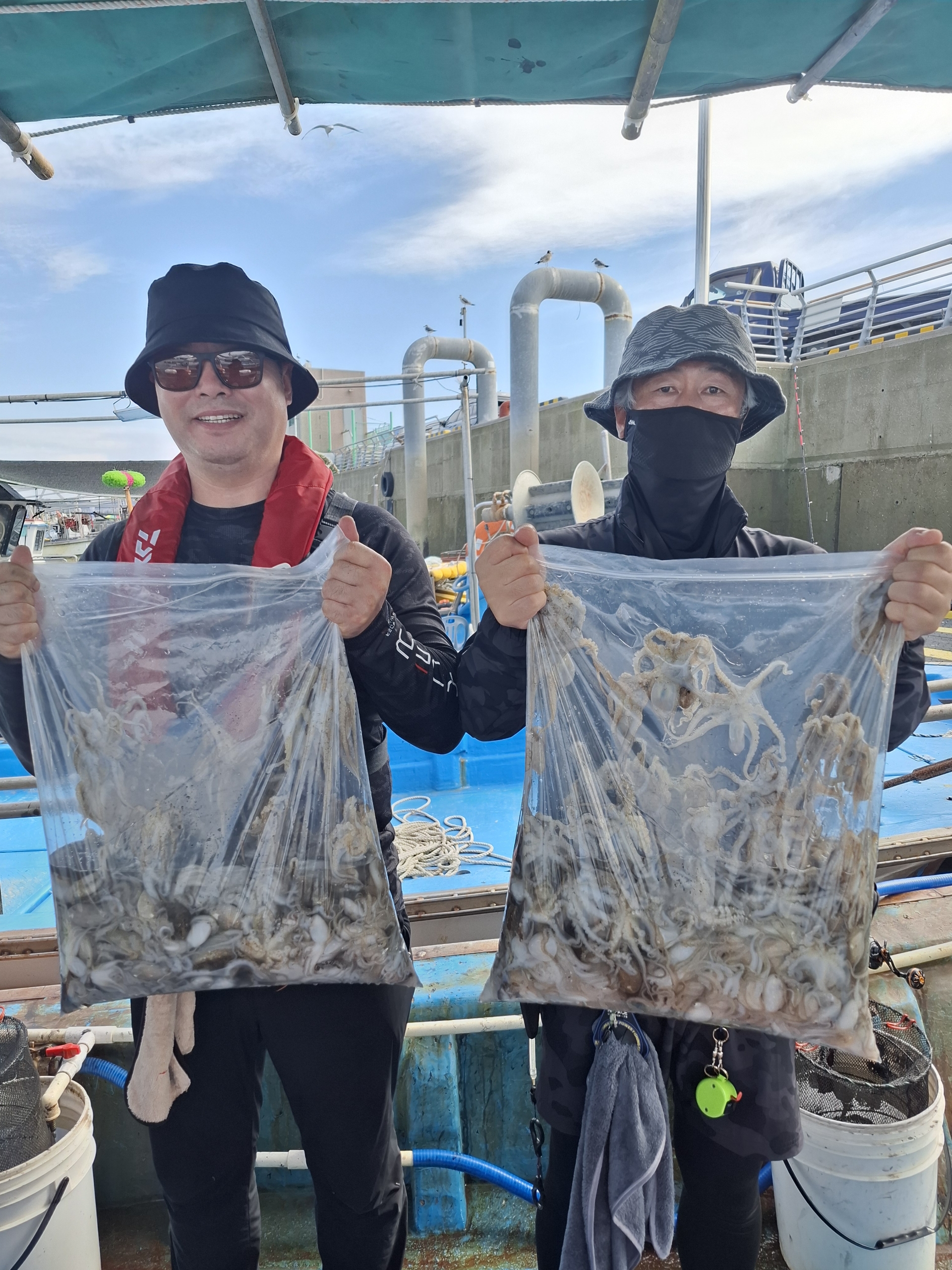 9월3일4일 대명1호 주꾸미조황