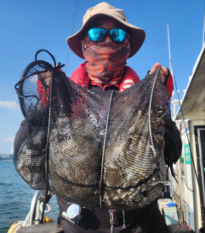 9월 18일 대성2호 쭈꾸미 조황