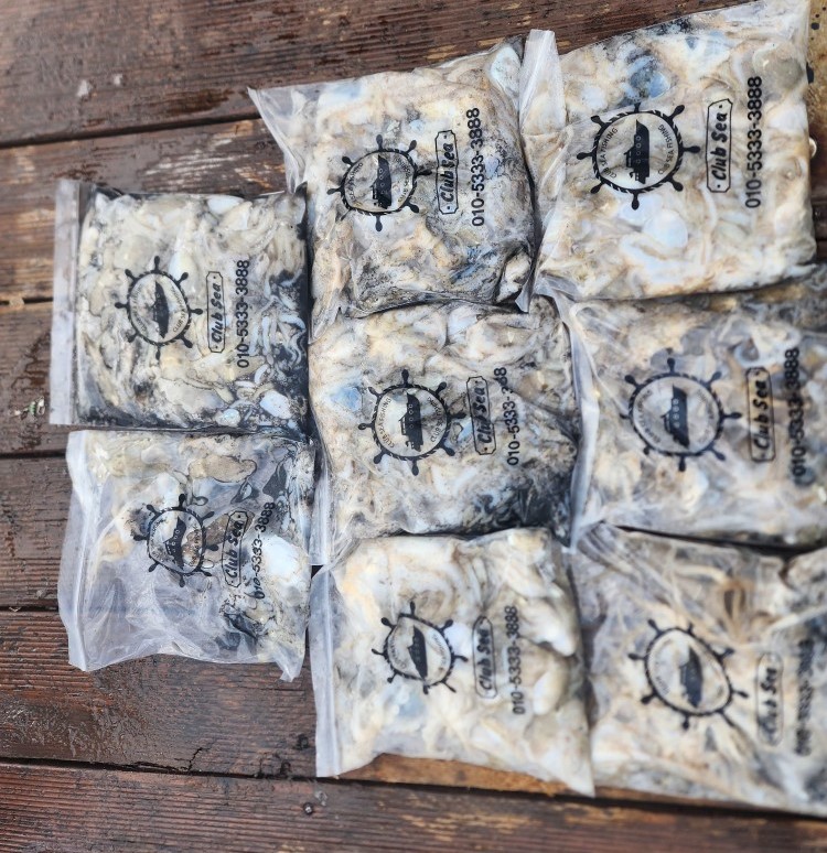 9월 14일 대성2호 쭈꾸미 조황