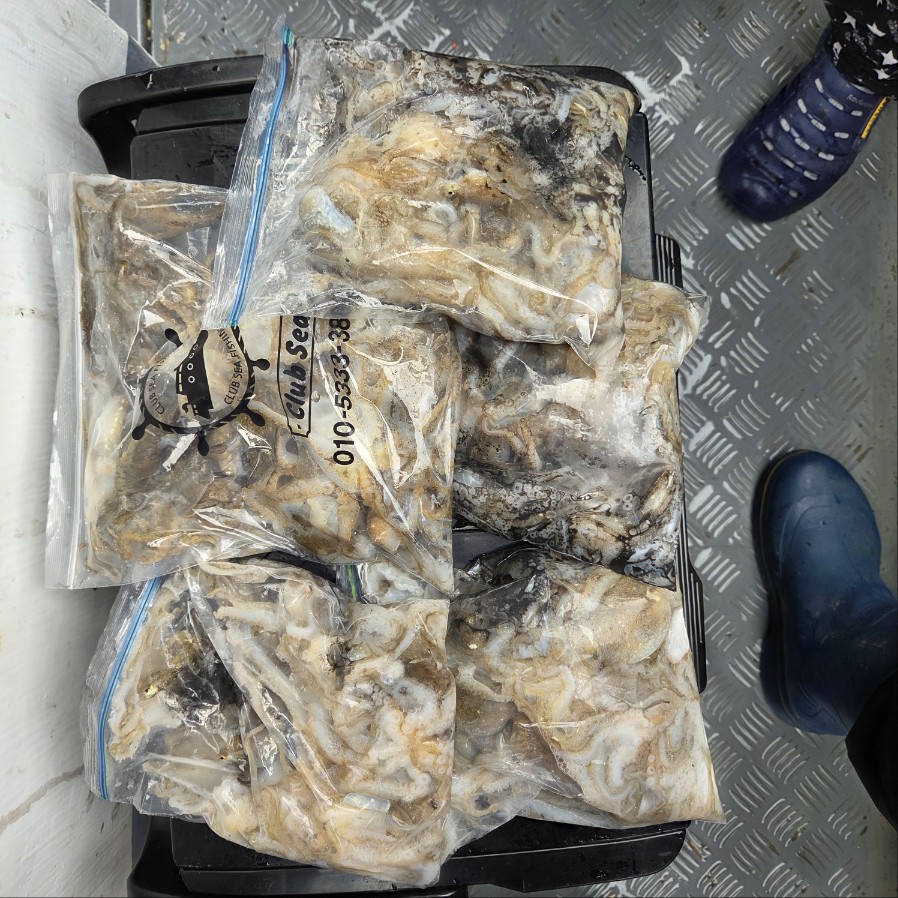 9월 7일  마린호 쭈조황입니다