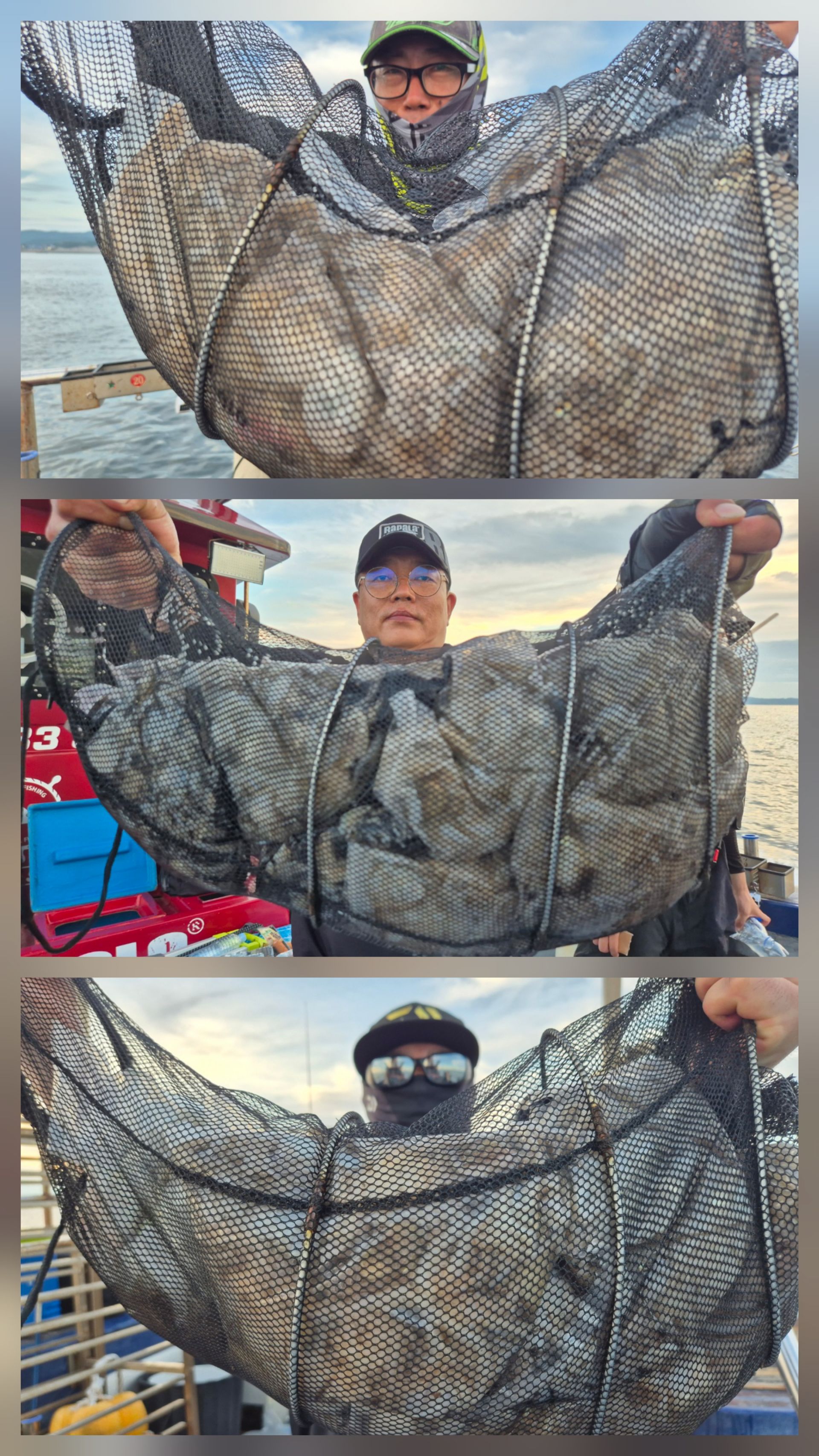 9월3일 뉴대성호 주꾸미조황