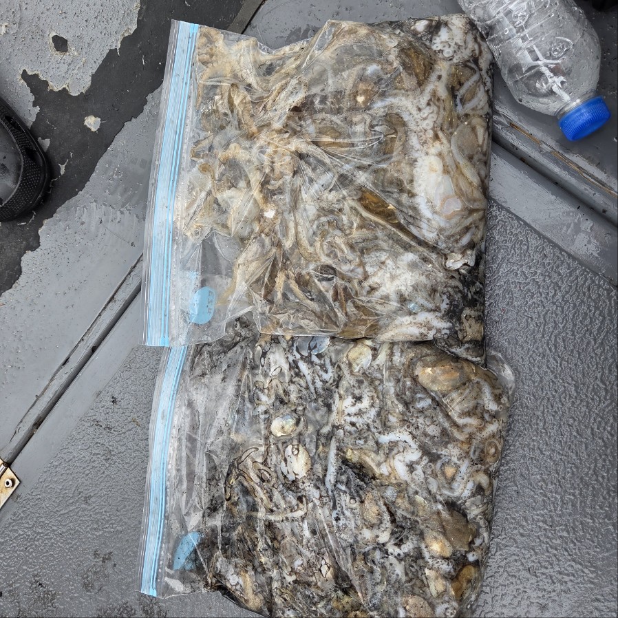 9월6일 마린호 쭈조황입니다