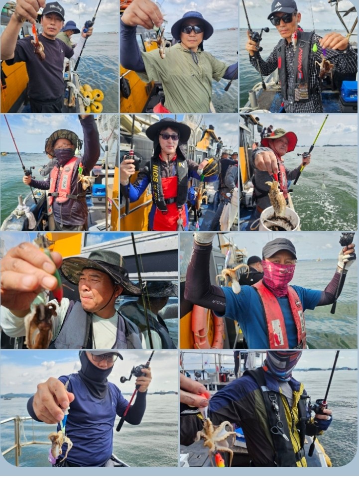 9월 29일 대성호 주꾸미 조황입니다