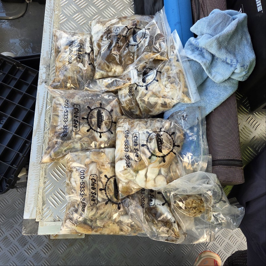 9월3일 마린호 쭈조황입니다