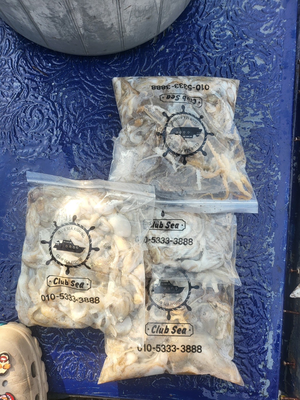 블루원9월6일 주꾸미 조황