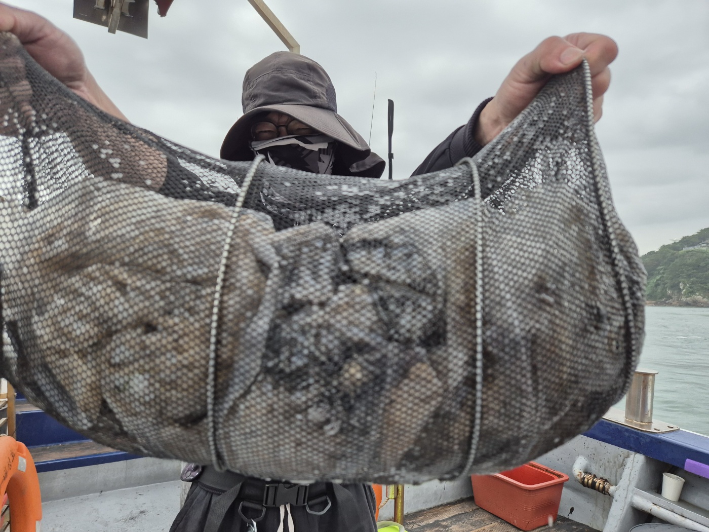 9월19일 뉴대성호 주꾸미조황