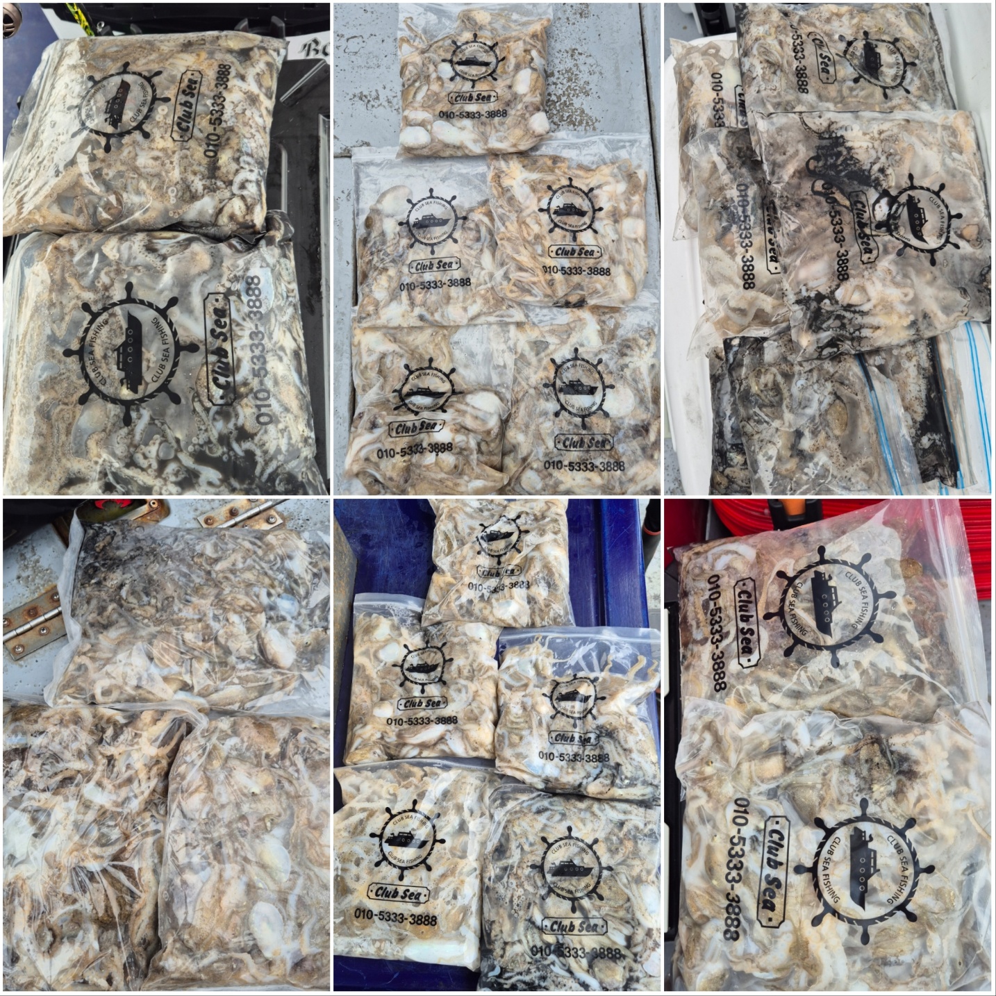 9월7일 뉴대성호 주꾸미조황