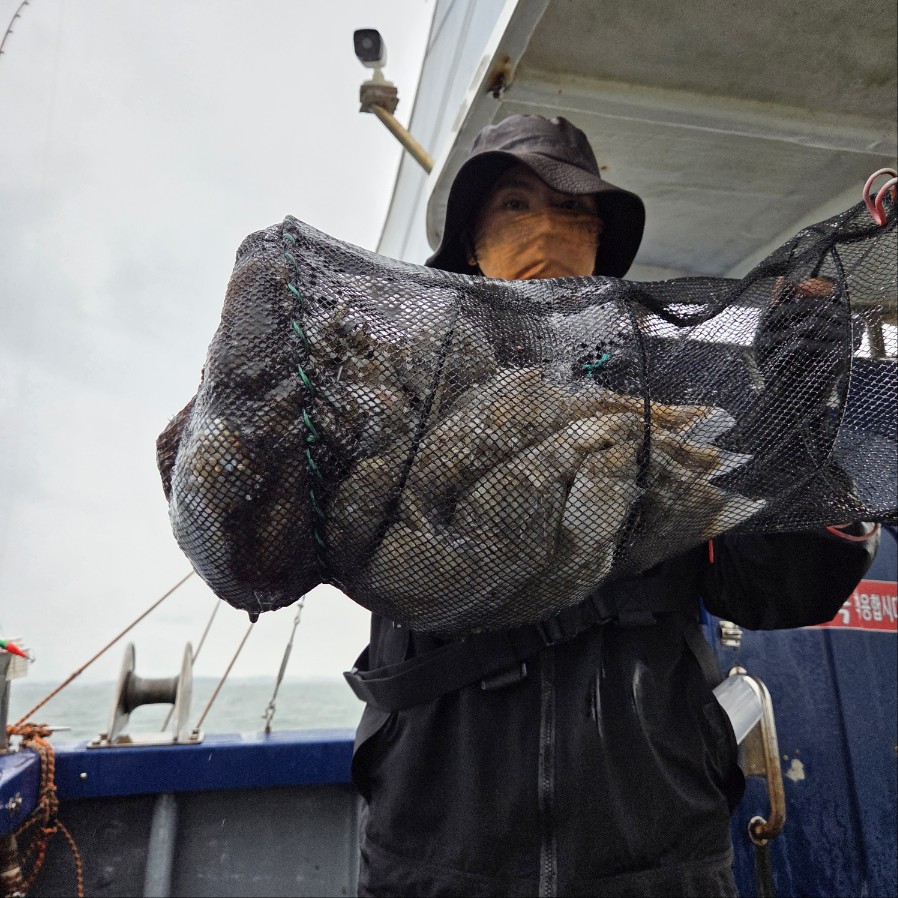 9월 19일 마린호 쭈조황입니다