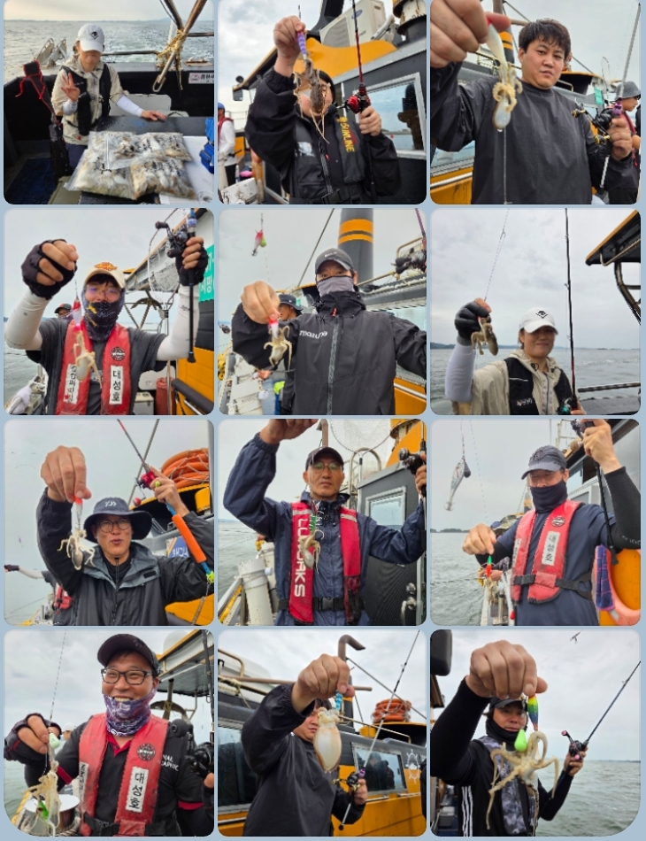 9월 9일 대성호 주꾸미 조황입니다