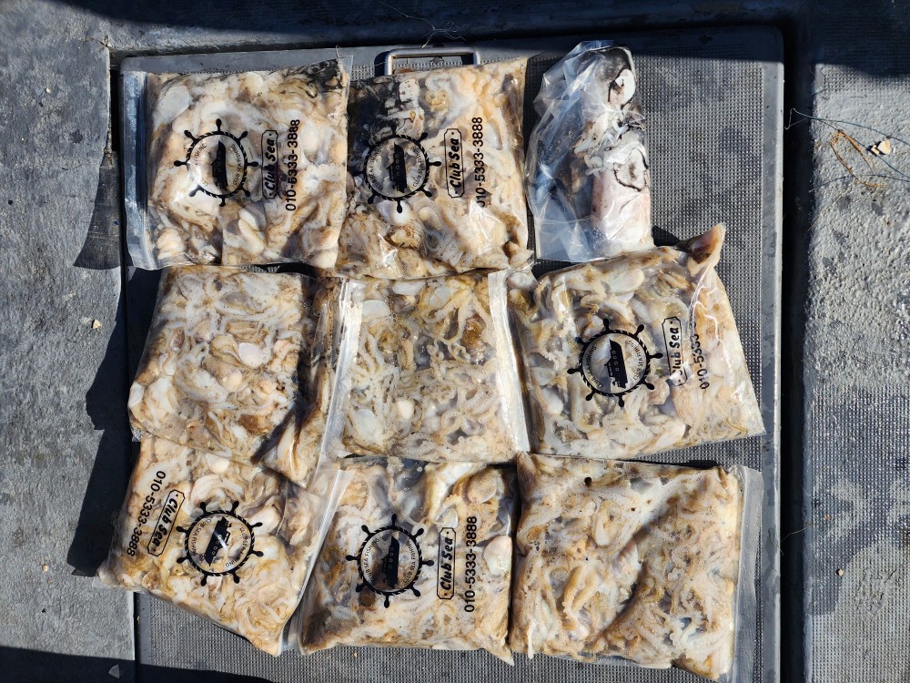 9월 29일 대성2호 쭈꾸미 조황