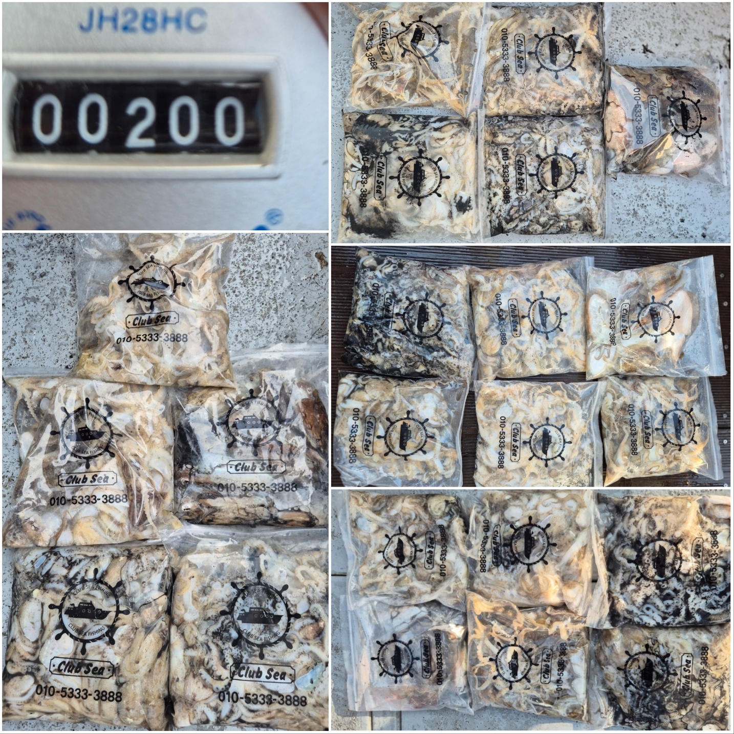 9월26일 뉴대성호 주꾸미조황