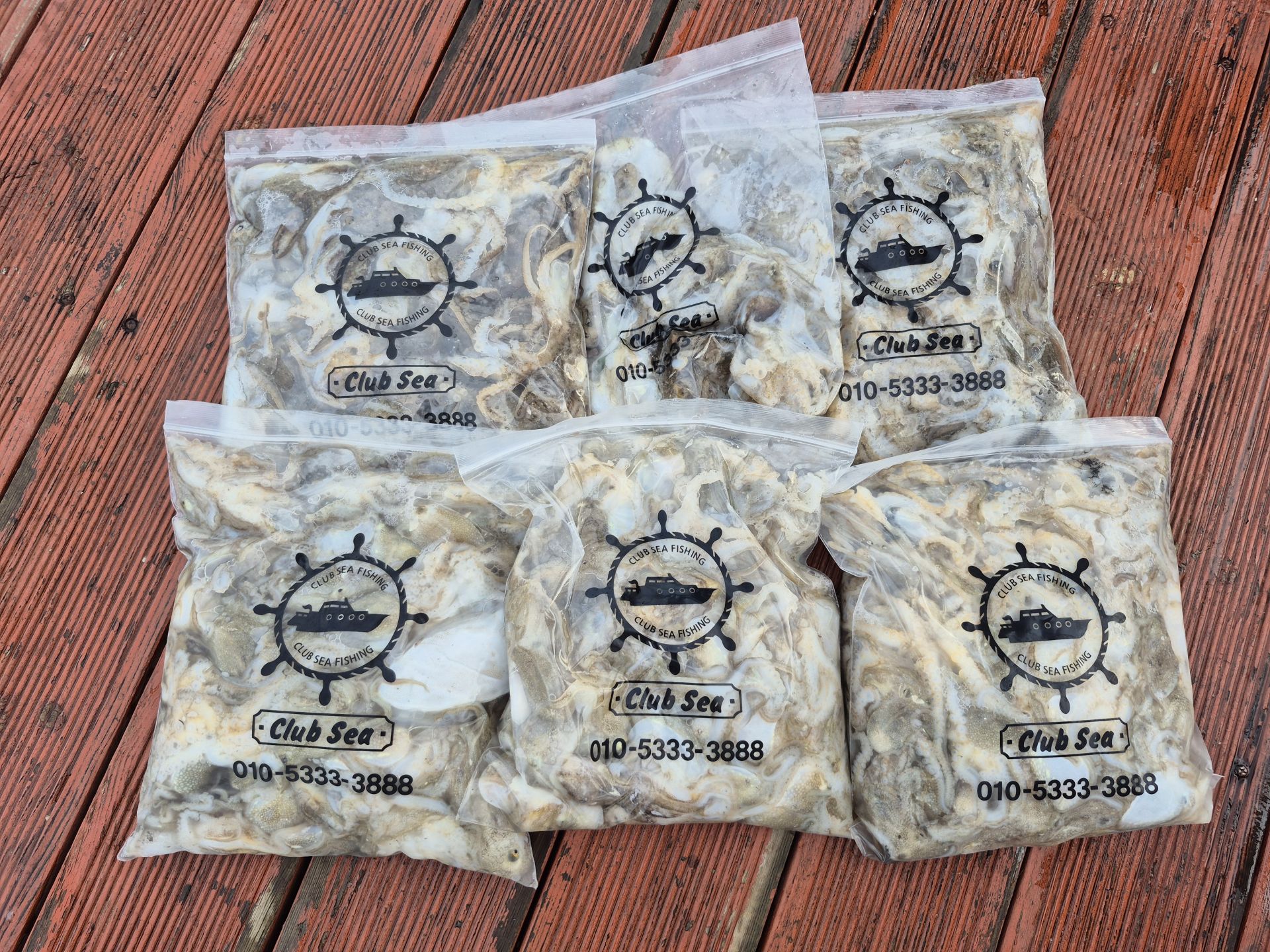 9월14일   화성호  주꾸미  조황~