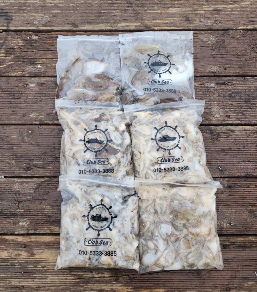 10월 17일 대성2호 쭈꾸미 조황