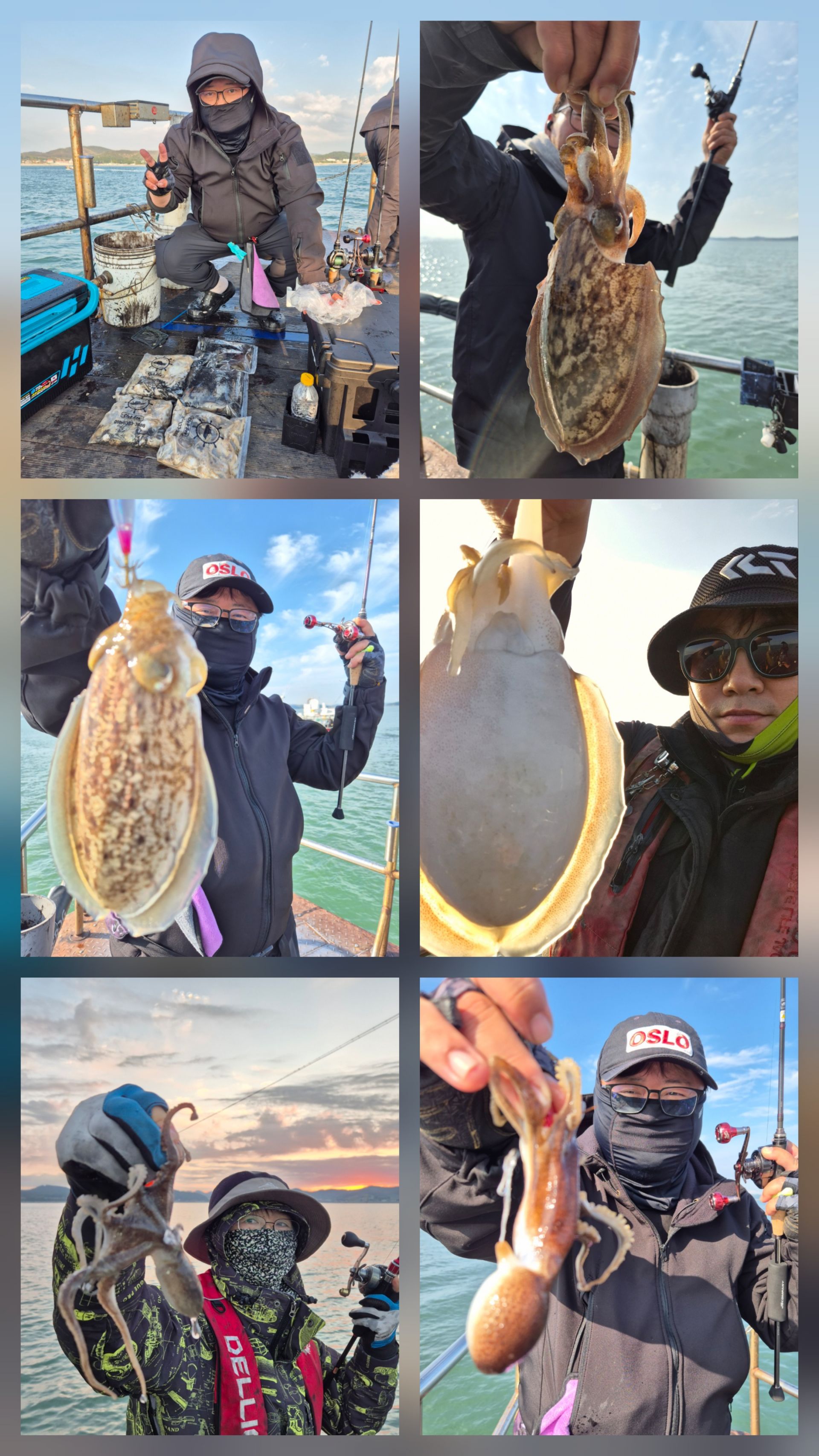 10월23일 뉴대성호 주꾸미조황