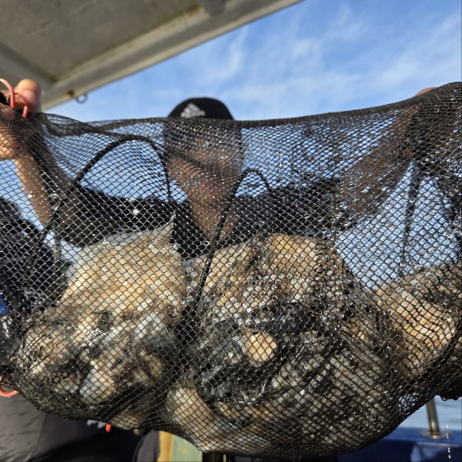 10월 1일 마린호 쭈조황입니다