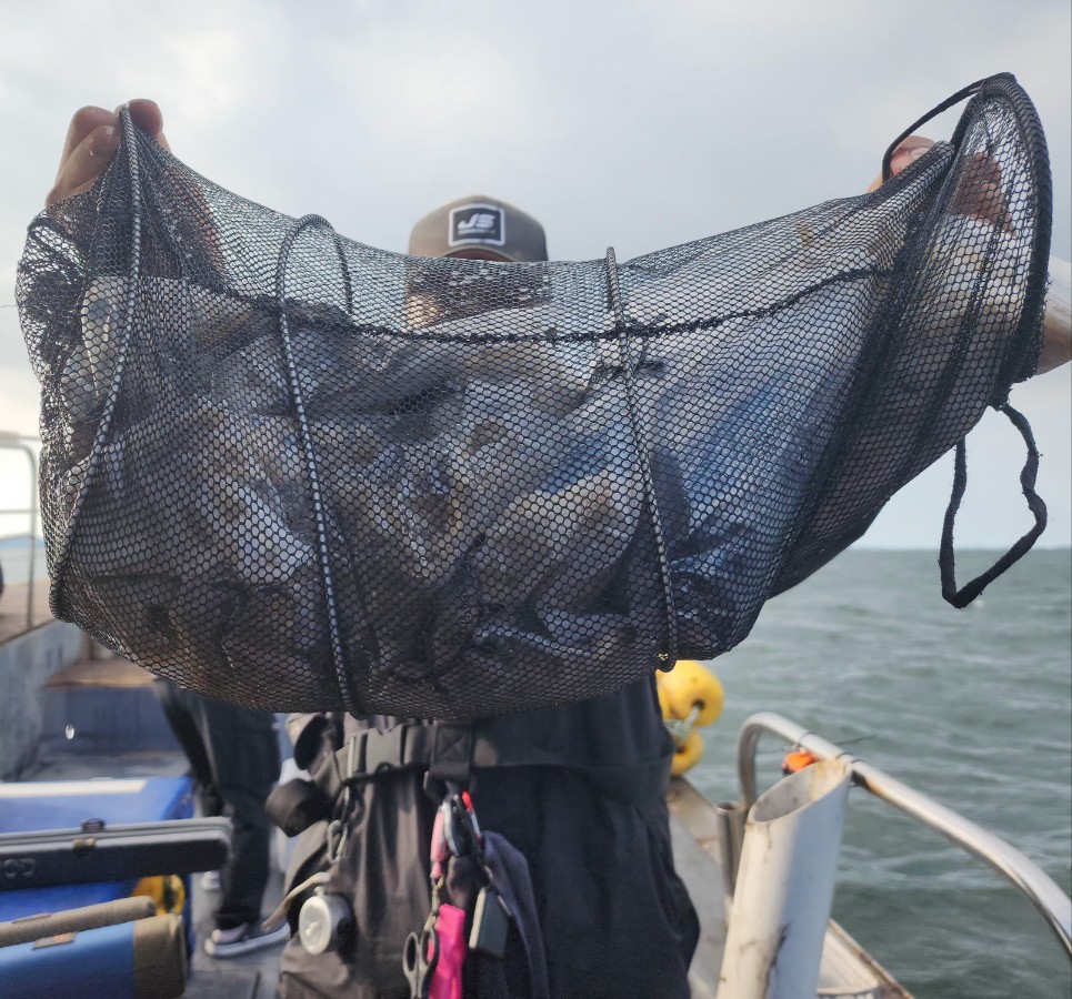 10월 16일 대성2호 쭈꾸미 조황