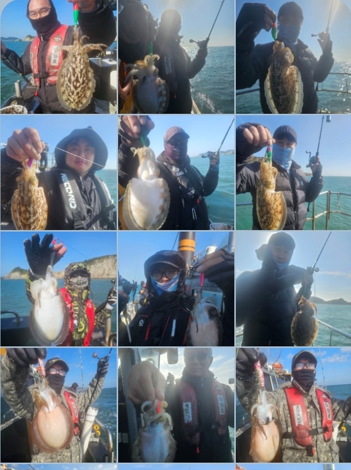 10월 22일 대성호 싸이즈 갑오징어 조황입니다