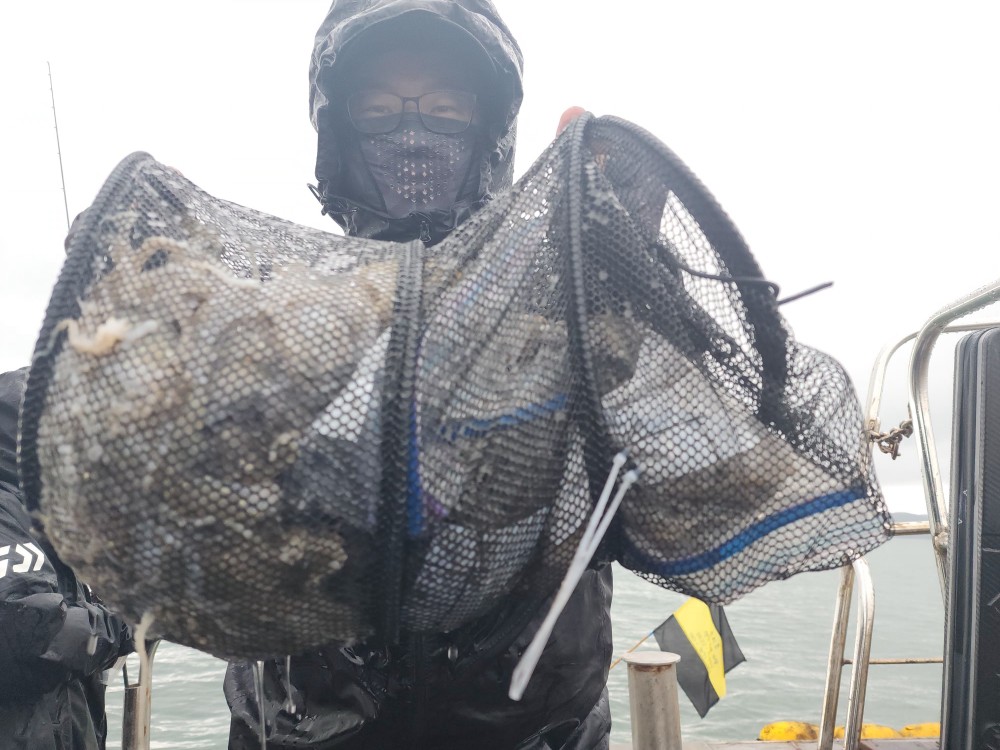 10월 7일 대성2호 쭈꾸미 조황