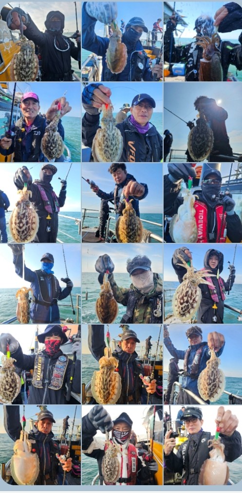 10월 24일 대성호 갑오징어 조황입니다