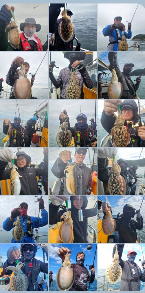 10월 17일 대성호 갑오징어 조황입니다