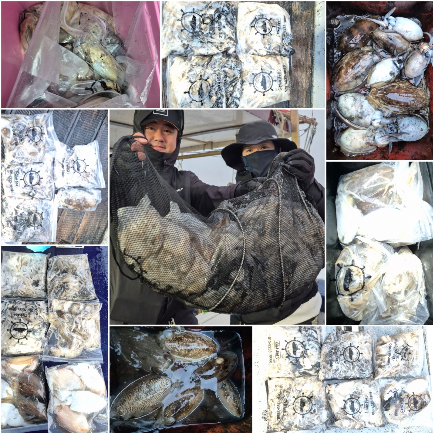 10월26일 뉴대성호 주꾸미조황