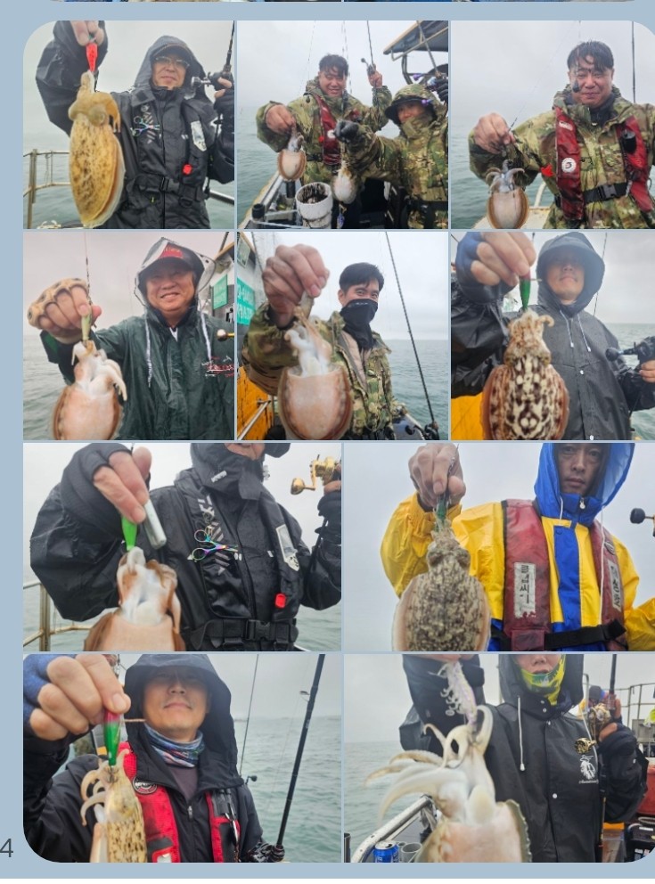 10월 13일 대성호 싸이즈 갑오징어조황입니다