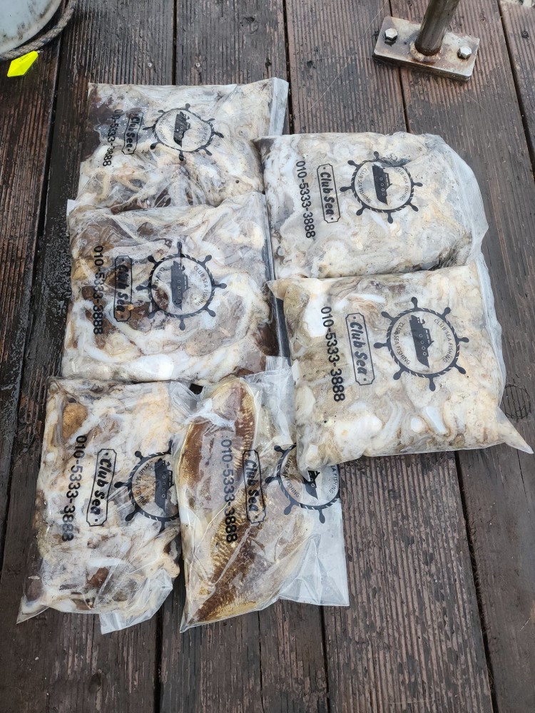 10월 15일 대성2호 쭈꾸미 조황